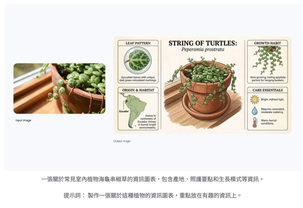 Nano Banana Pro官方範例應用:資訊圖表的生成