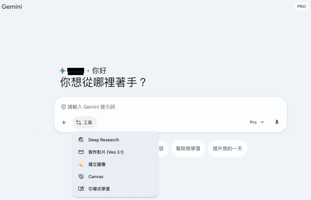 Gemini 使用介面